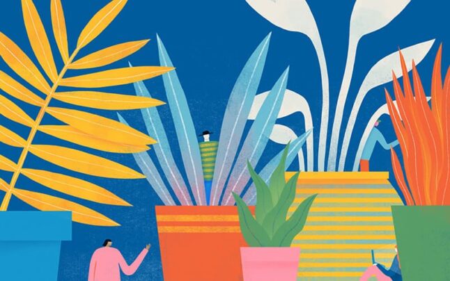 23 Great Office Plants For A More Productive Workspace